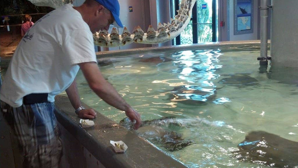 Third hero image