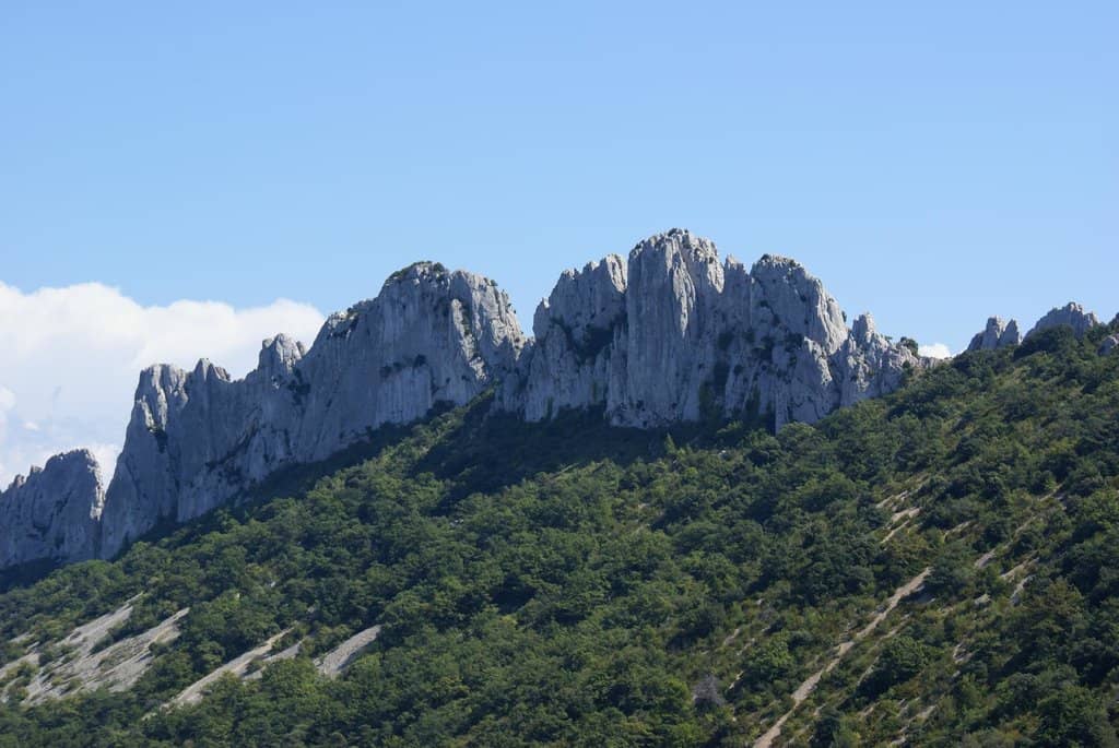 Wine Region Exploration