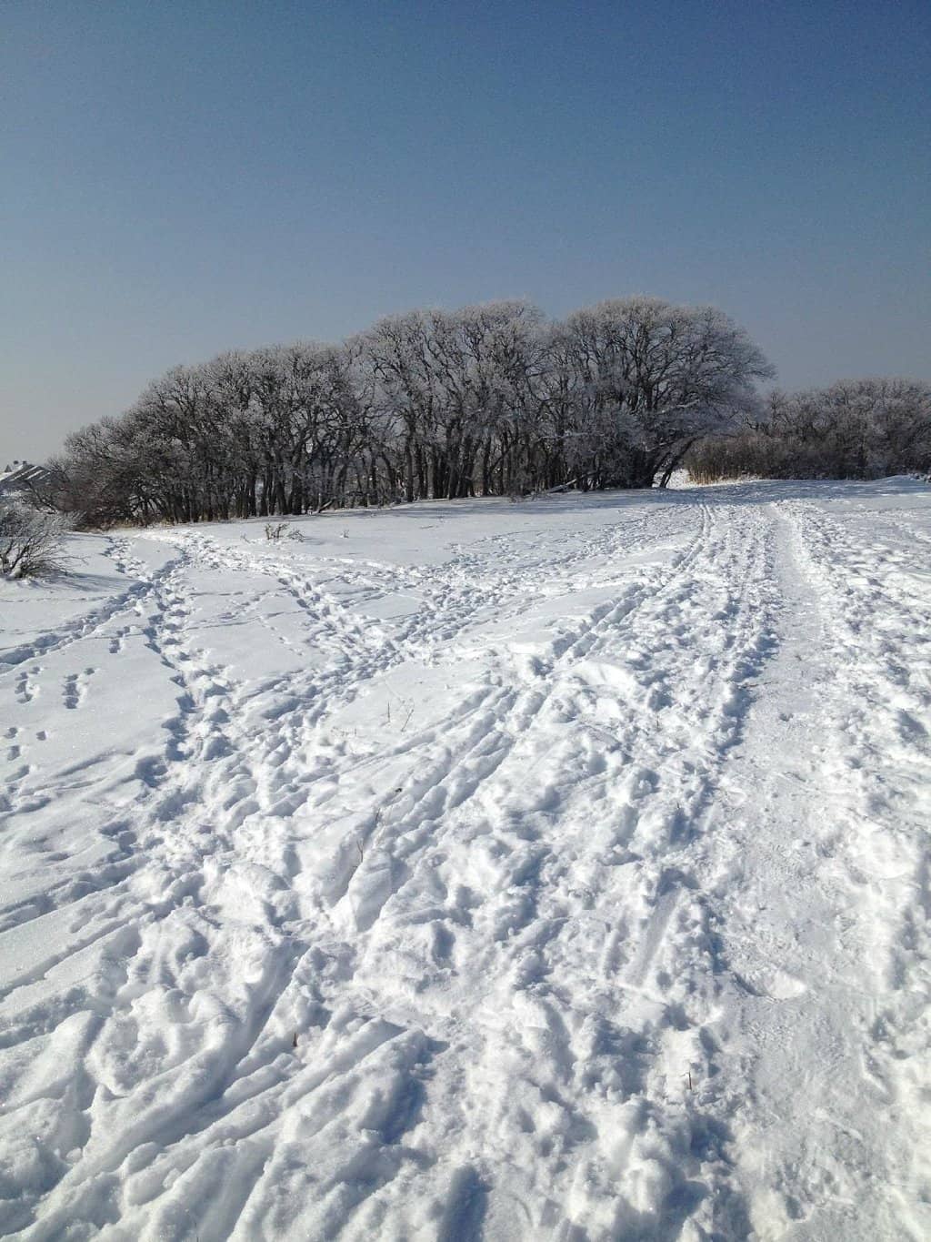 Diverse Trail Network