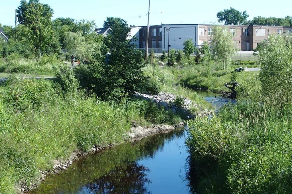 Green Spaces and Parks