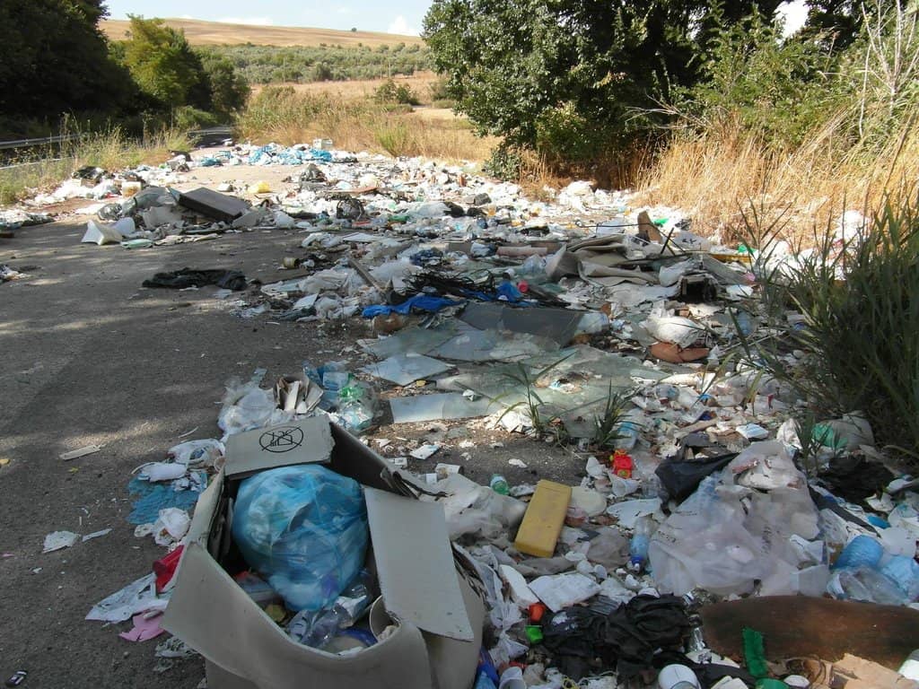 Night Sky Observation