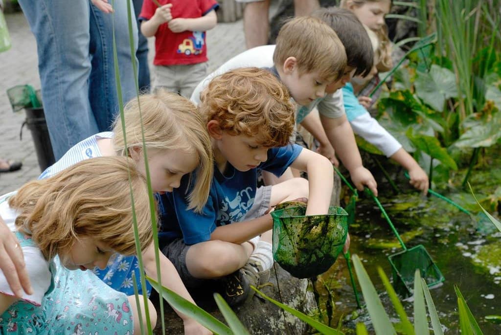 Visitor Center Exhibits