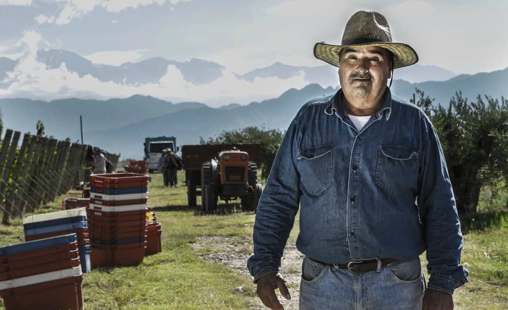 Centennial Vineyards