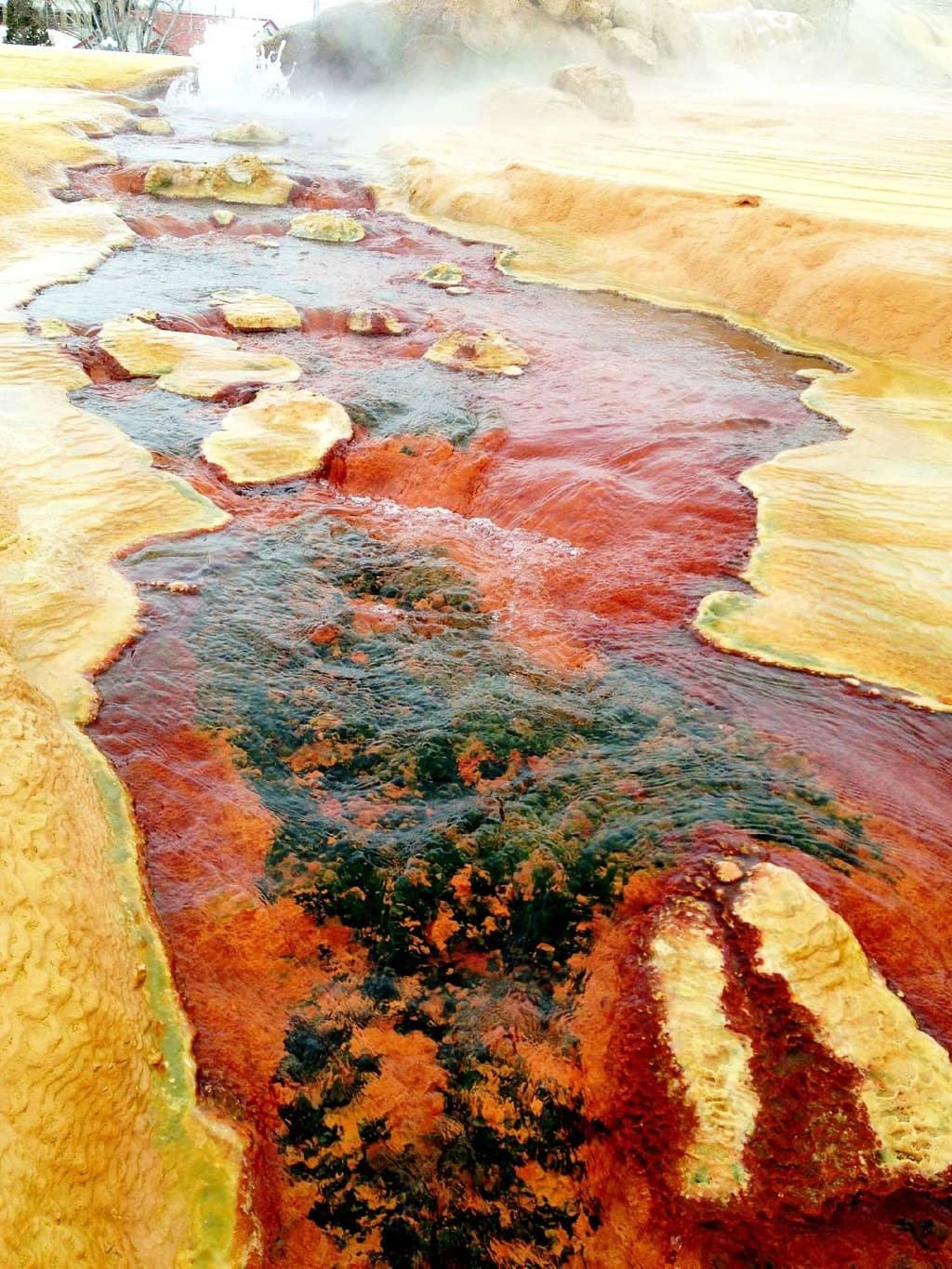 Bandshell & Concerts