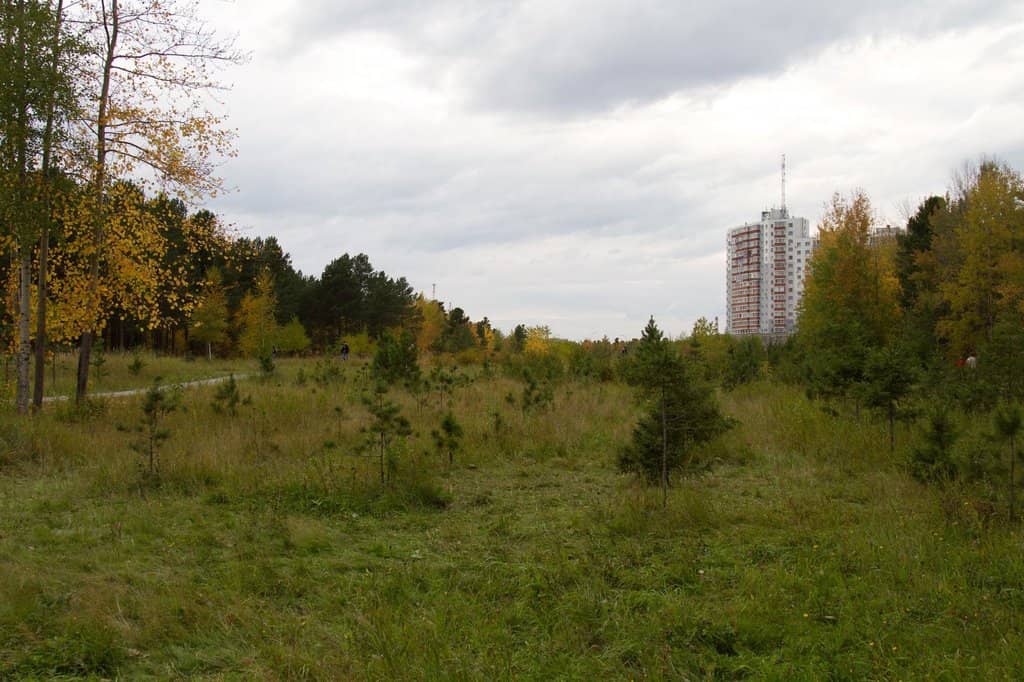 Year-Round Natural Beauty