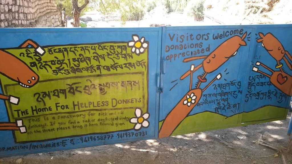 Sanctuary's Mission