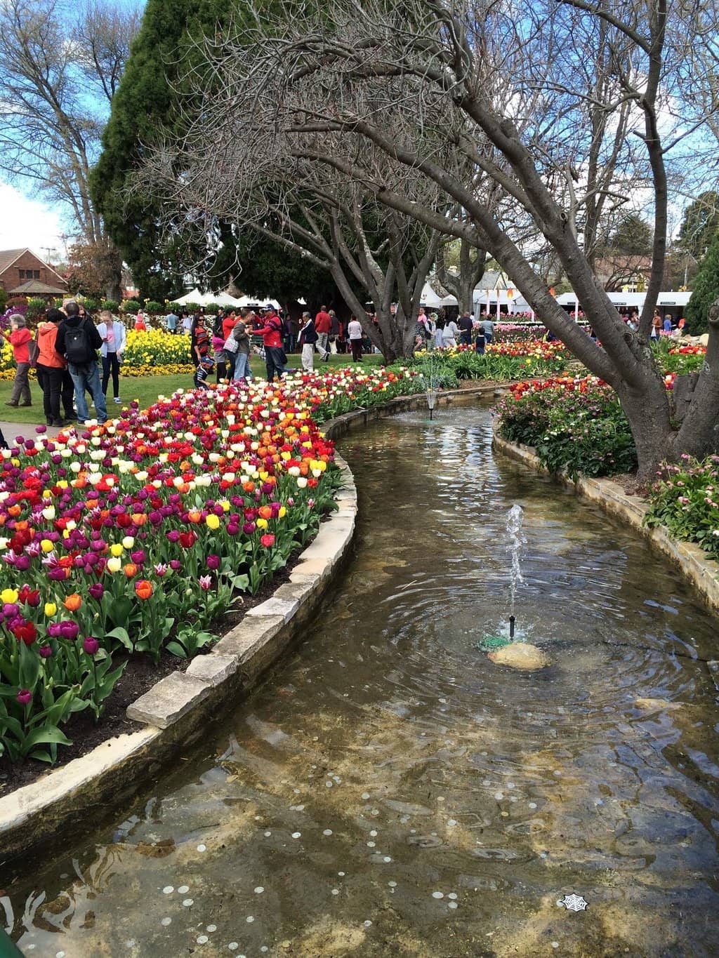 Colorful Flower Displays