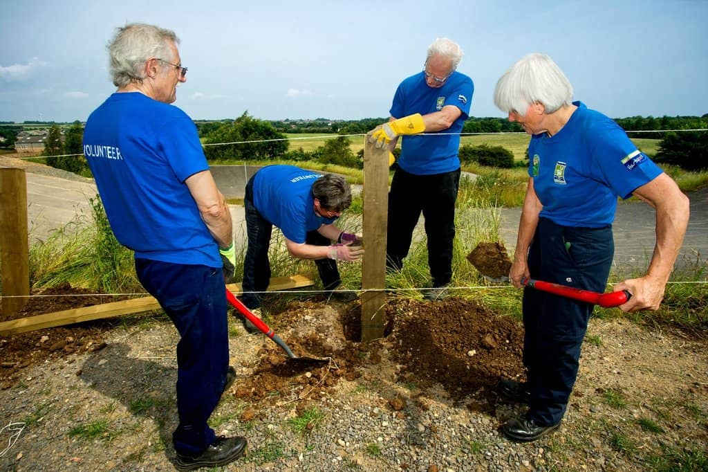Highlights