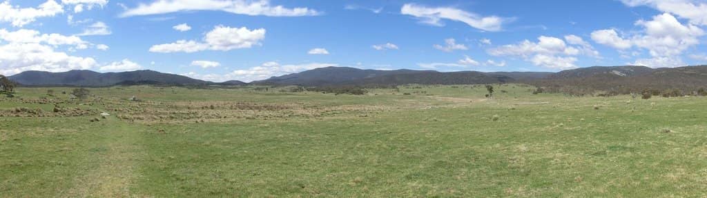 Basic Walking Trails