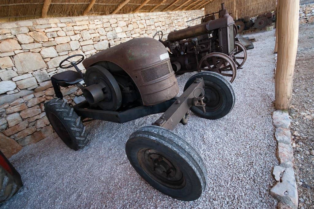 Kid-Friendly Climbing Fun