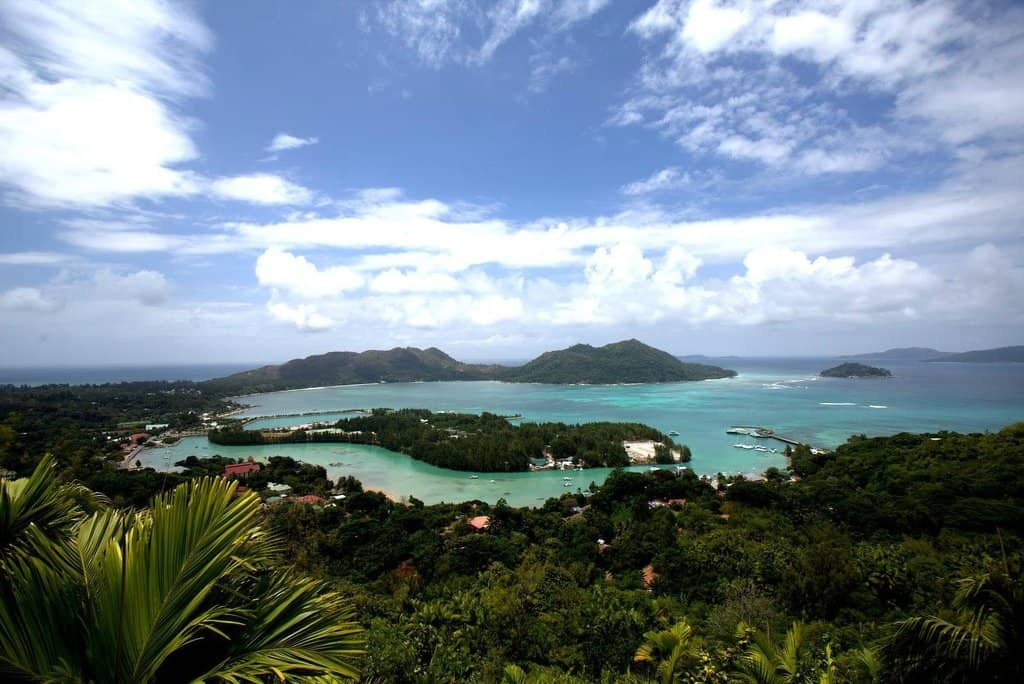 Endemic Wildlife Spotting