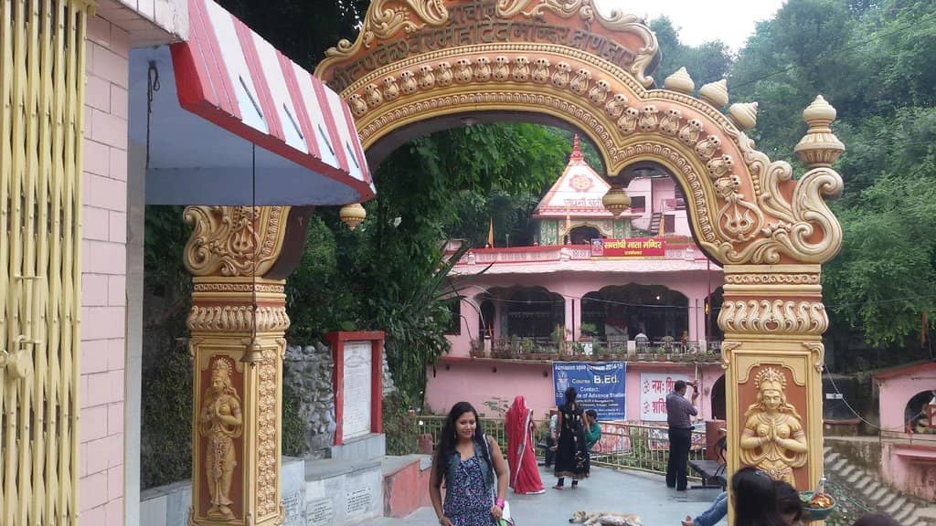 Rudraksh Trees