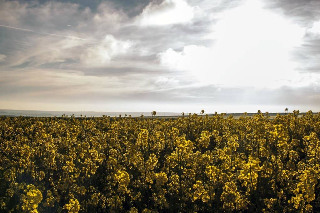 Secluded Beach Vibes