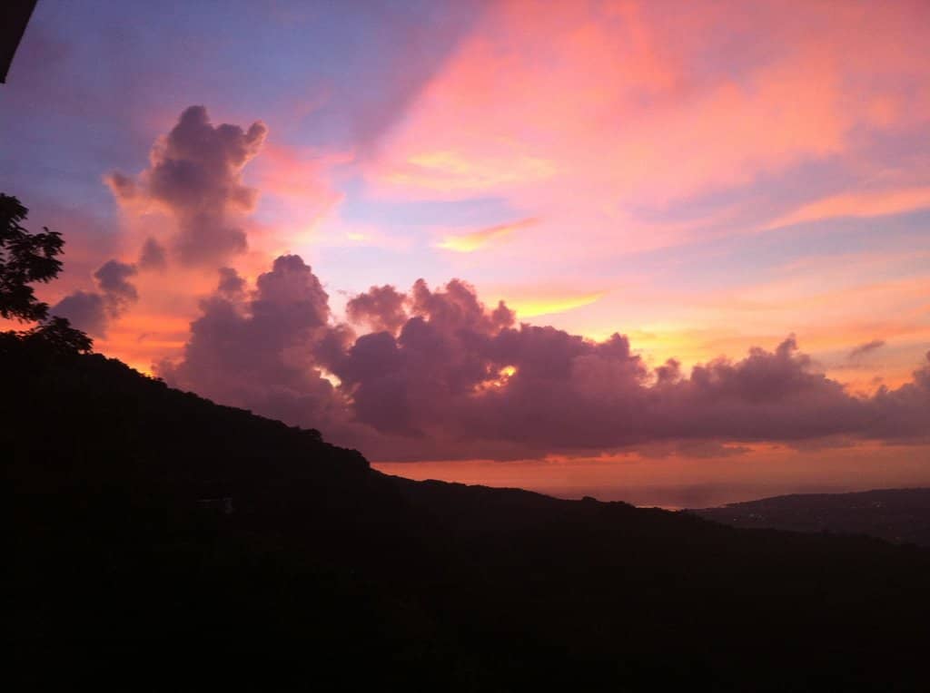 Artistic Expressions