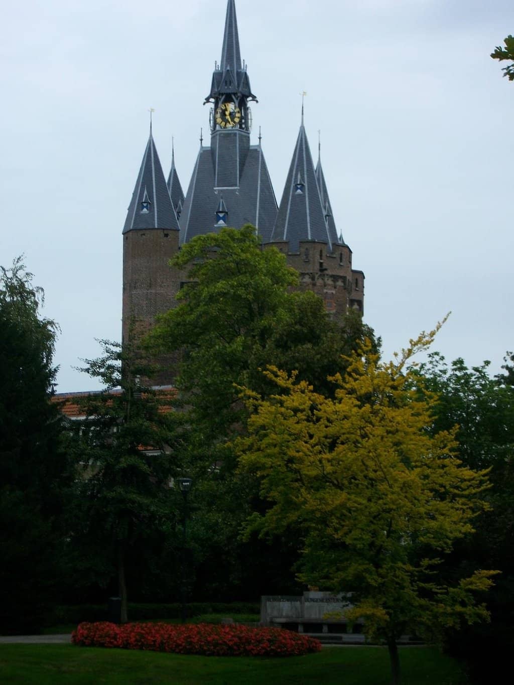 Vertical photo