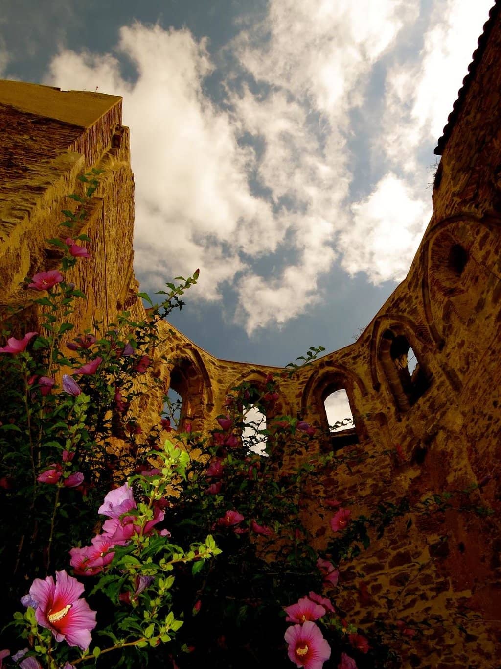 Serene Hiking Trails