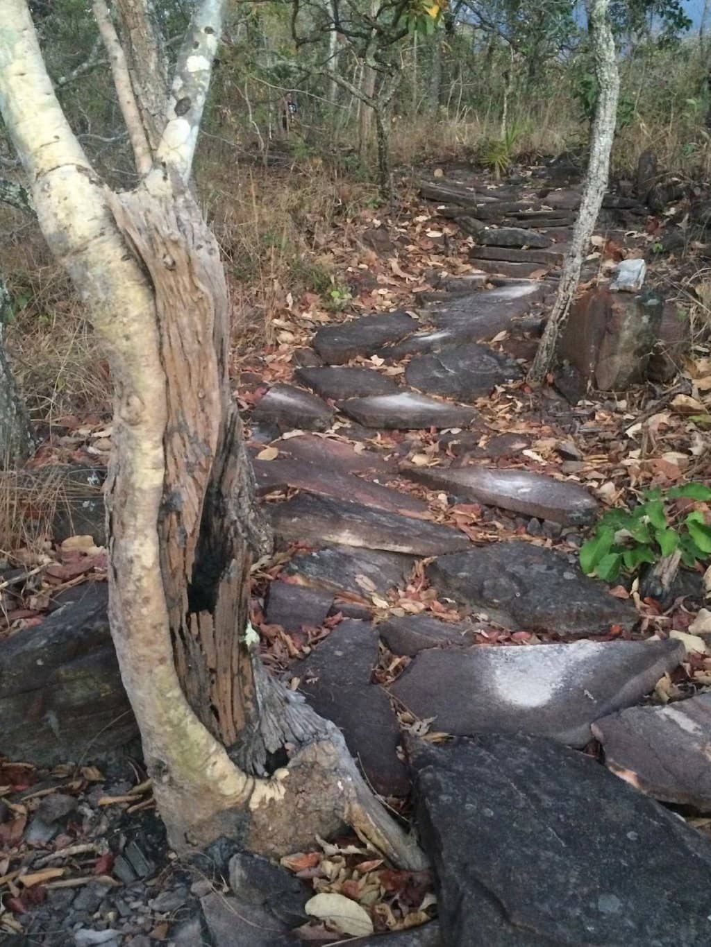 Behind the Cascade