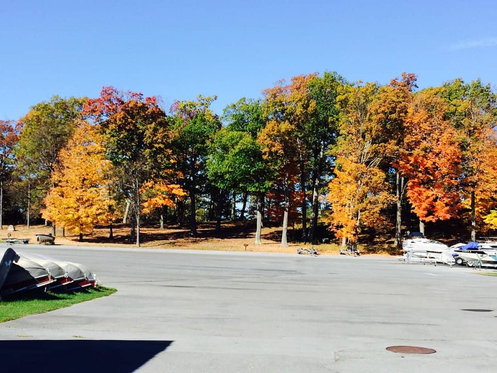Thousand Islands Shoreline