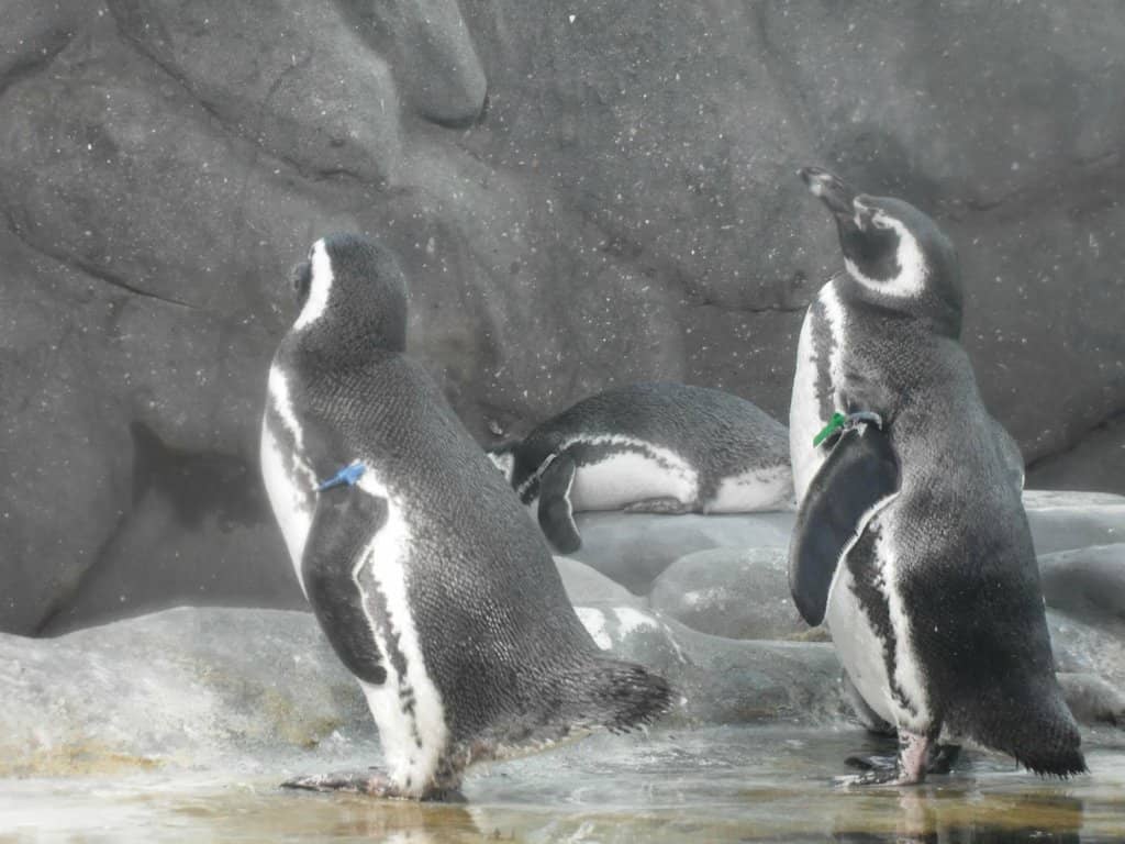 Interactive Science Exhibits