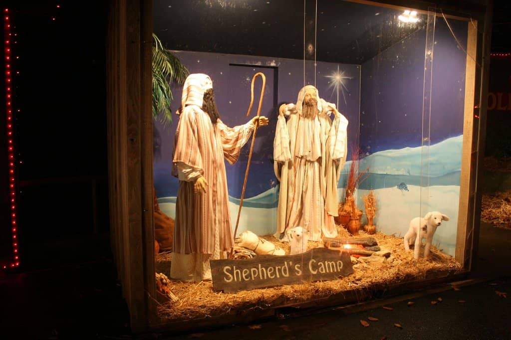 Panoramic Coastal Views