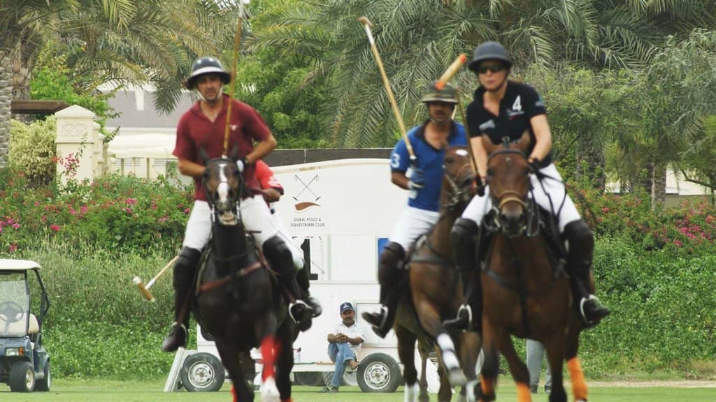 Equestrian Lessons