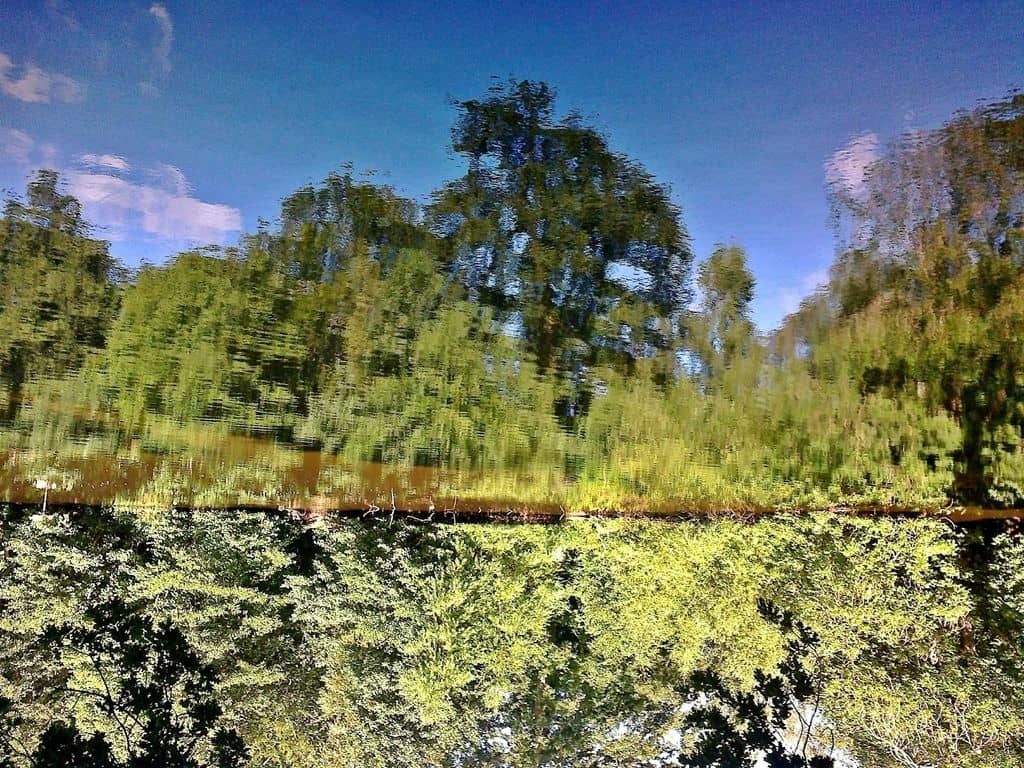 Woodland Trails