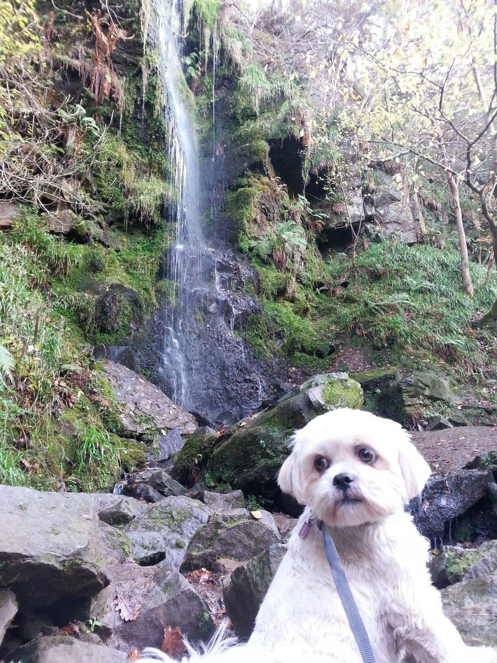 Beck Hole Village