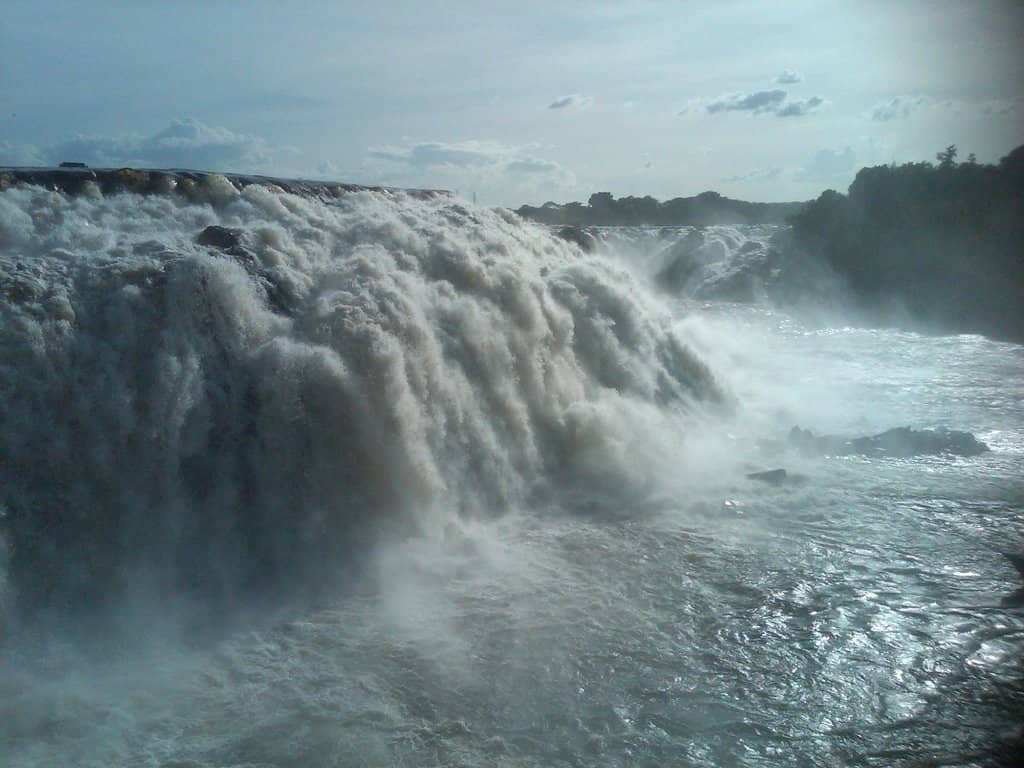 Wooded Islands & Bridges