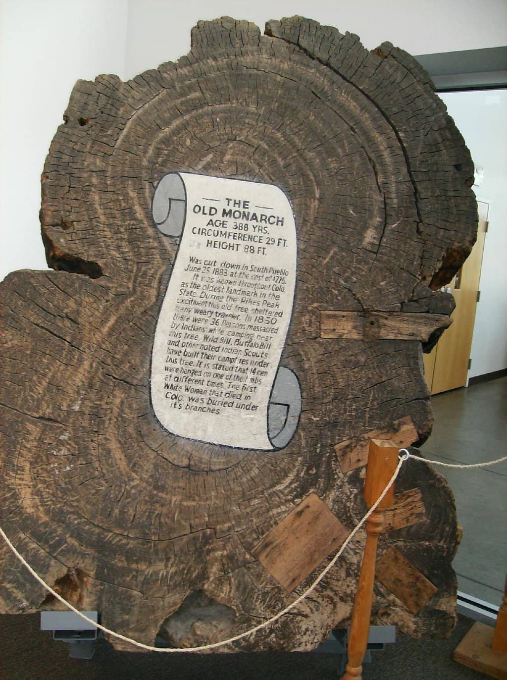 Theatrical Productions