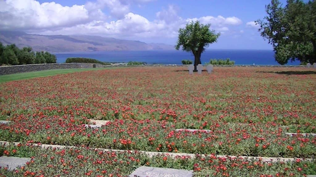 The Cemetery Grounds