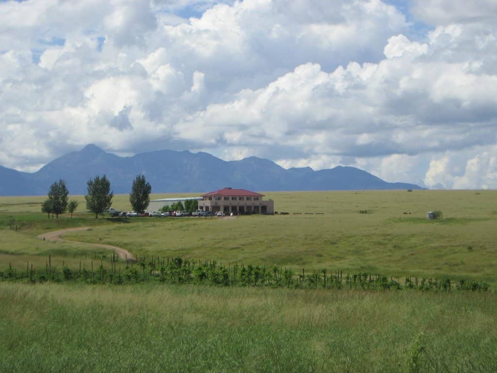 Los Milics Vineyards