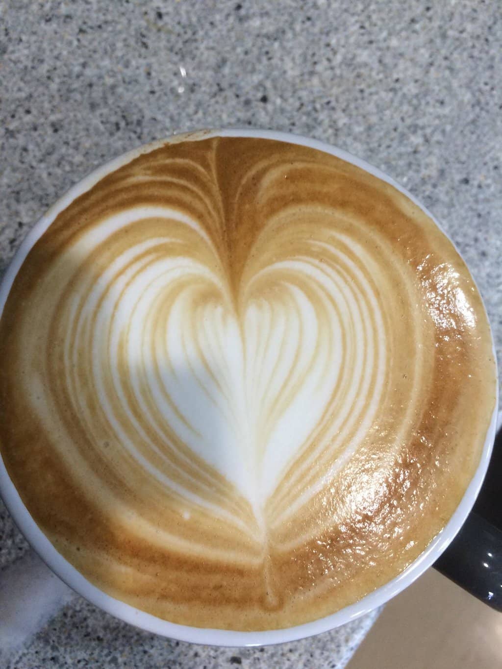 Artisan Breads & Fresh Sandwiches