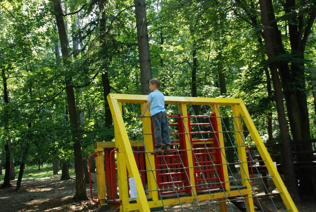 Vertical photo