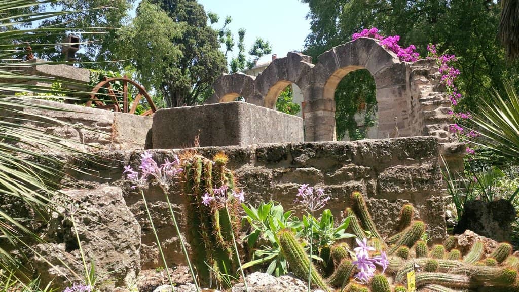 Historic Botanical Collections