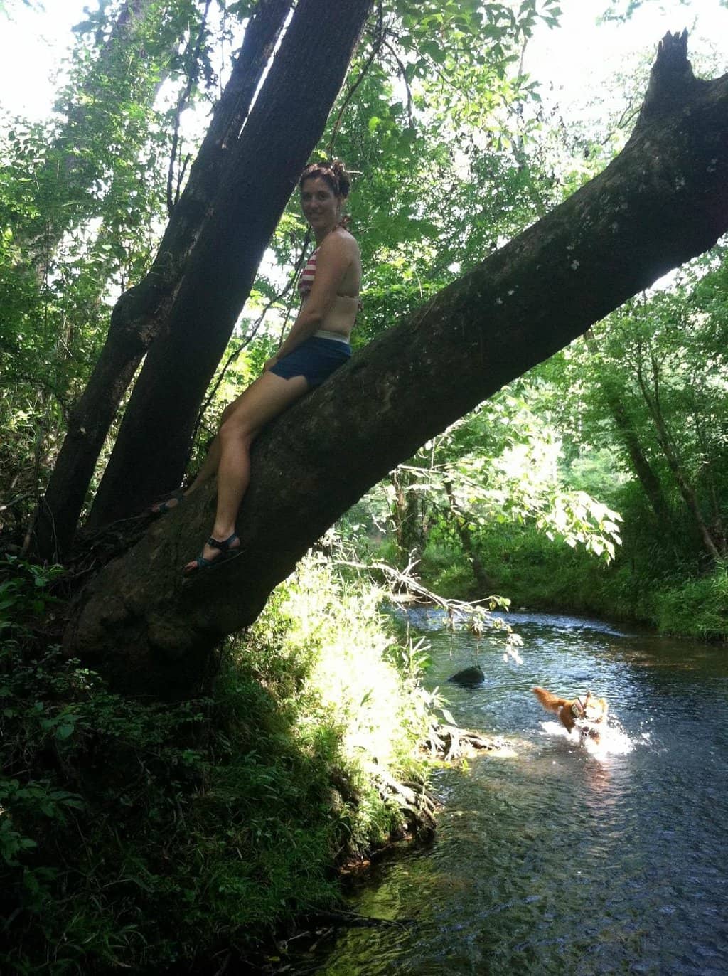 Holiday Lights on the River