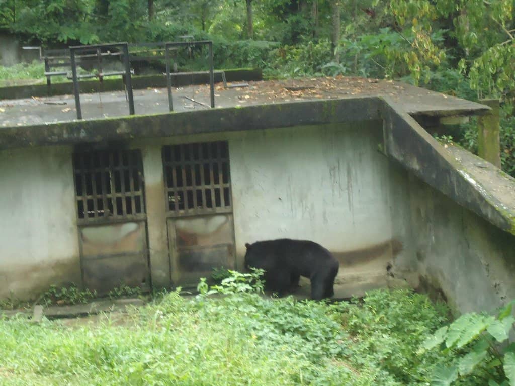 New Plant Species Discovery