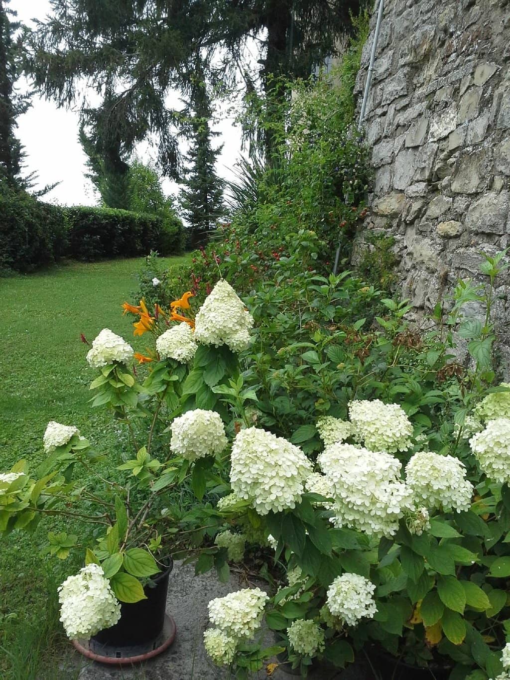 Frescoes and Stately Home