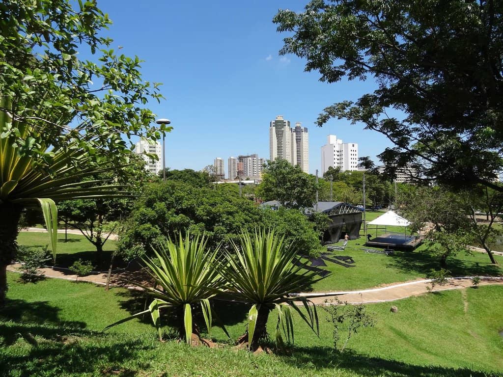 Playground Area