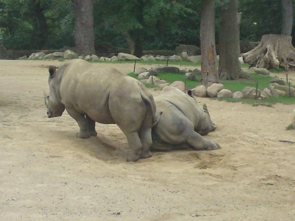 Interactive Feeding Experiences