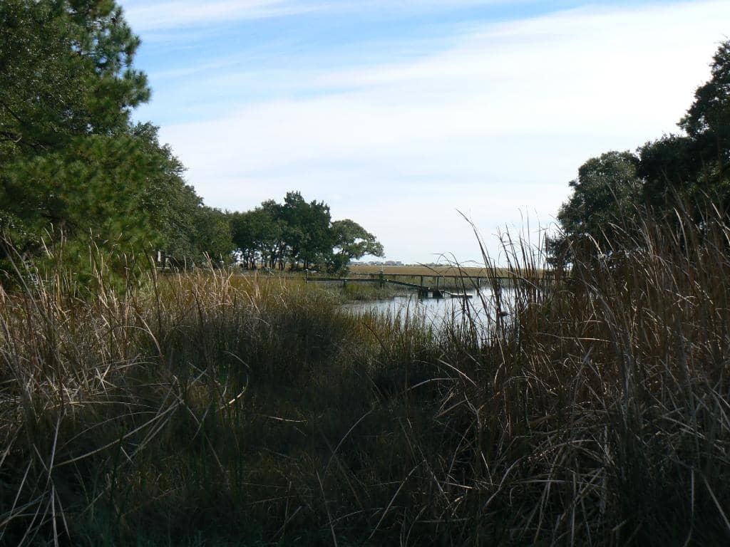 Brookgreen Gardens Access
