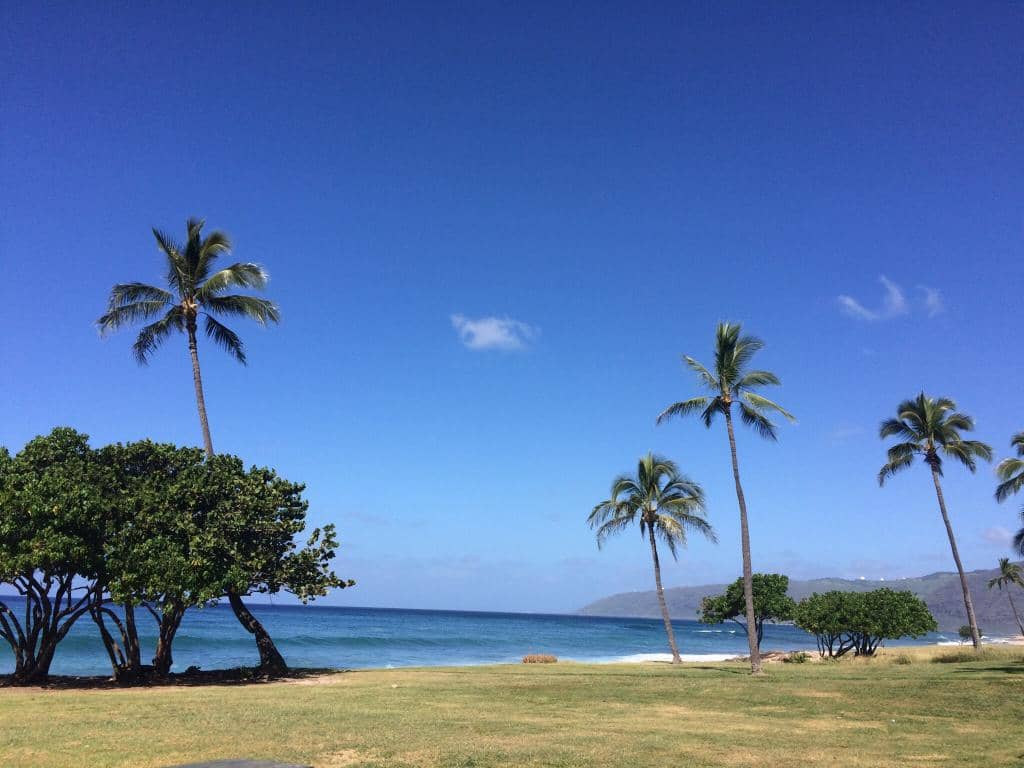 Local's Paradise