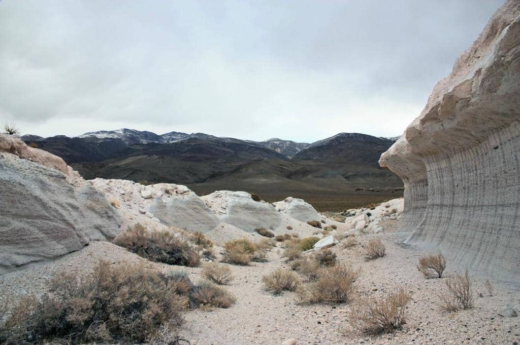 Refreshing Swimming Pool