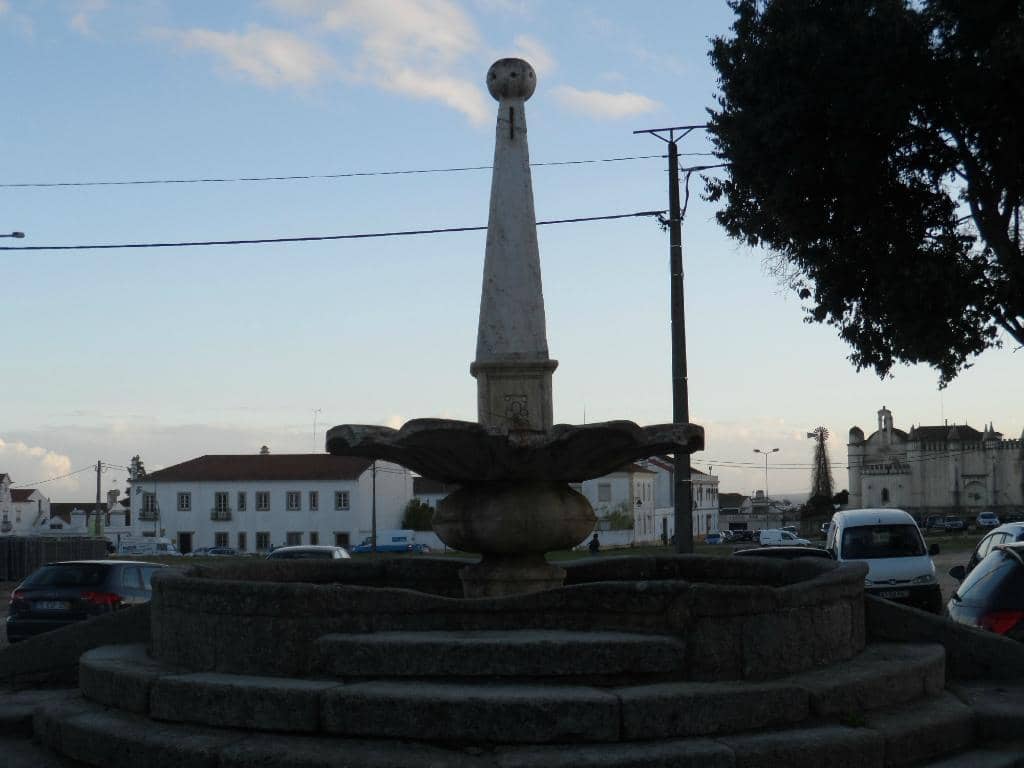 Vertical photo