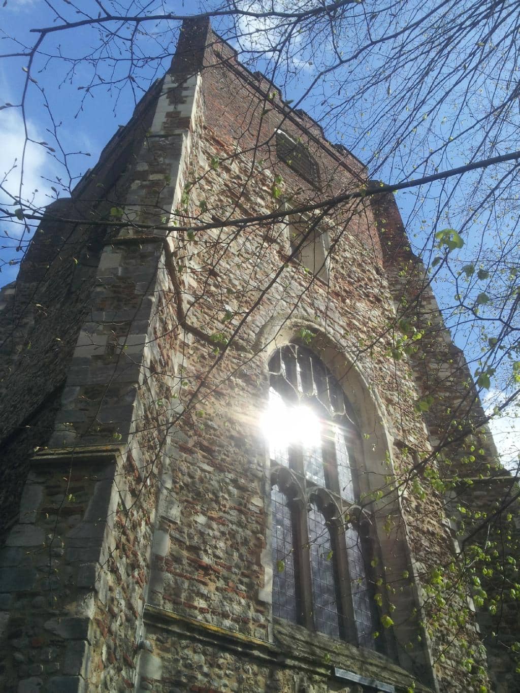 Vertical photo