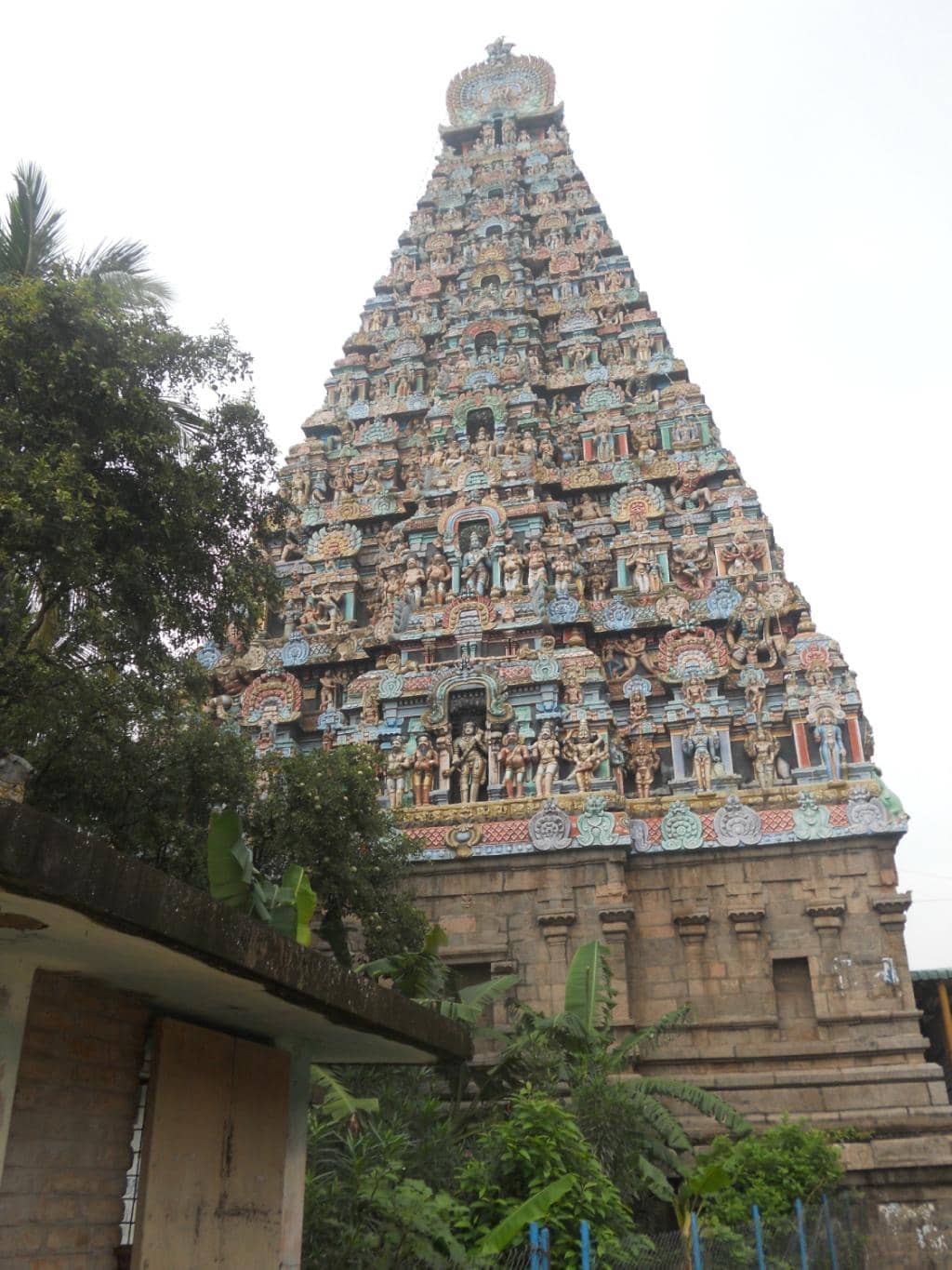 Vertical photo