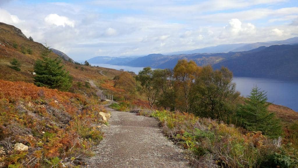 Abriachan Forest