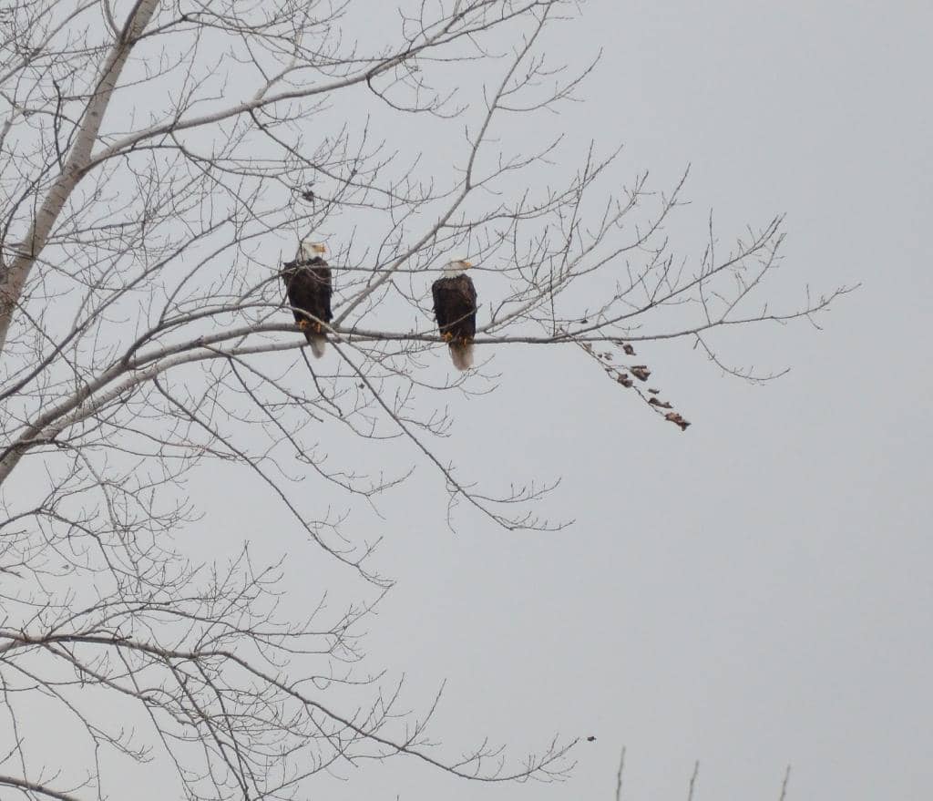 Visitor Center Exhibits