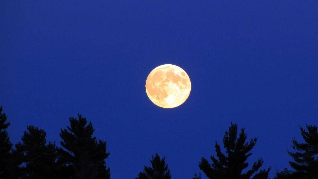 Island & Inland Lake Exploration