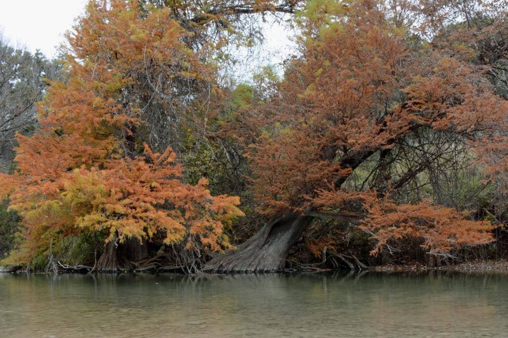 Abundant Wildlife Sightings