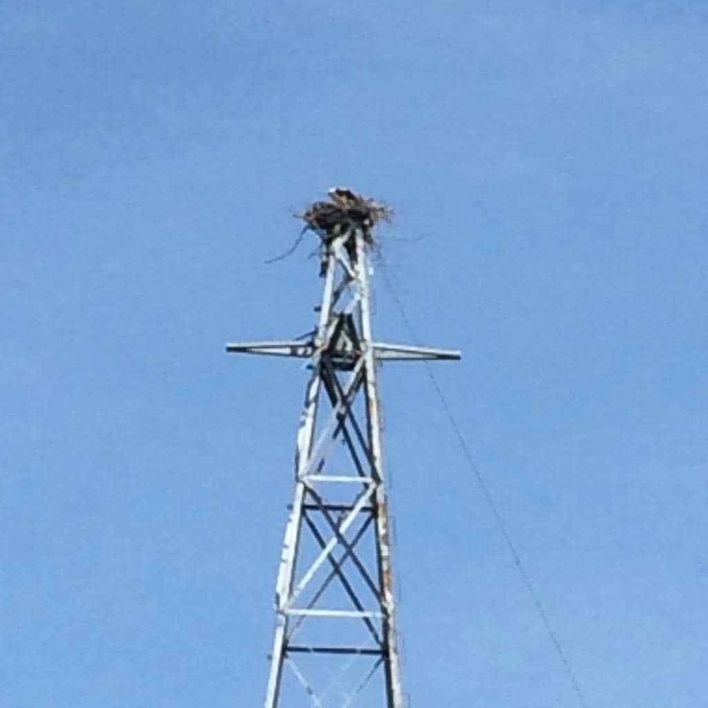 WWII Radio Communications